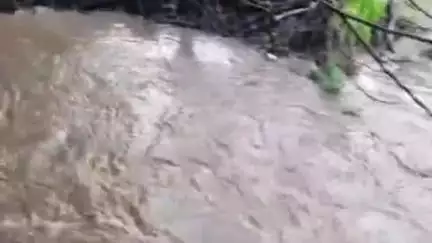 सिंदखेड राजा: शेंदूर्जन परिसरात अवकाळी पावसाने शेतकऱ्यांच्या उन्हाळी पीकांचे नुकसान