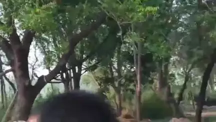 महमूदाबाद: रन्नी की रहने वाली पीड़ित ने विपक्षियों पर आरोप लगाते हुए कोतवाली महमूदाबाद में प्रार्थना पत्र दिया