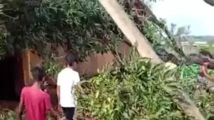 जामा: असंजोर गांव में तेज आंधी से आम का पेड़ और बिजली के पोल तार समेत घर पर गिरे, बाल-बाल बचे घर के सदस्य
