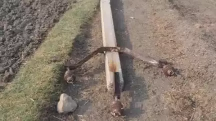 अन्ता: ग्राम पचेल कलां जीएसएस से देवपुरा 3 फेज सप्लाई पर चोरों ने तोड़े 22 विद्युत पोल