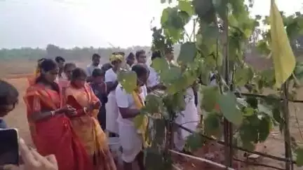 জামবনি: প্রাচীন রীতি মেনে জামবনি ব্লক জুড়ে পালিত হল রহিন পরব