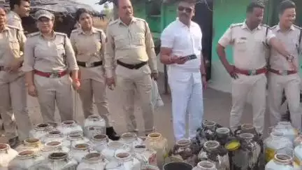 केसली: महराजपुर में आबकारी विभाग ने ₹75,500 की कच्ची शराब जब्त की