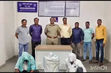 राजूरा: भुरकुंडा येथे प्रतिबंधित बीटी बियाणे बाळगाणारे इसमांविरुध्द गुन्हा दाखल, ४० किलो खुले चोर बीटी बीयाणे जप्त
