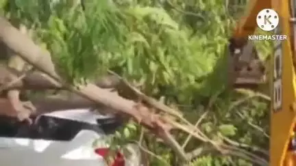 ಬಾಗೇಪಲ್ಲಿ: ಪಟ್ಟಣದ ಹೊರವಲಯದ ರಾಷ್ಟ್ರೀಯ ಹೆದ್ದಾರಿ ಬಳಿ ಗಾಳಿ ಸಹಿತ ಮಳೆಗೆ ಕಾರಿನ ಮೇಲೆ ಬಿದ್ದ ಕೊಂಬೆ