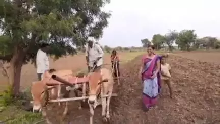 नरखेड: 80 ते 100 मिलिमीटर पाऊस झाल्यानंतर  पेरणी करावी, कृषी विभागाचा शेतकऱ्यांना सल्ला