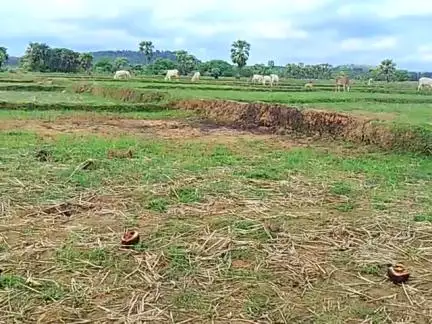 Bara Durgapur sahibganj