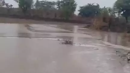 सनावद: खंगवाड़ा में रोड ठेकेदार की लापरवाही से किसानों के खेत में भरा बारिश का पानी