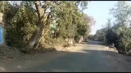 रावेर: विवरा बुद्रुक गावात घरातून ५४ हजार ८०० रुपये किमतीची शॉर्ट मंगळसूत्राची पोत चोरी, निंभोरा पोलिसात गुन्हा दाखल