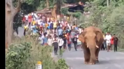 बानो: बानो क्षेत्र में झुंड से बिछड़े अकेले जंगली हाथी ने पांच घरों को किया ध्वस्त, ग्रामीणों ने खदेड़ा