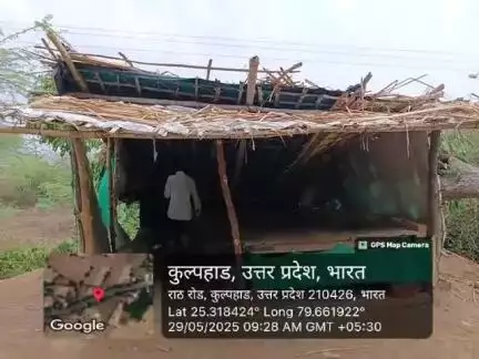 कुलपहाड़ में एक दुकान पर गिरा जामुन का पेड़।।#कुलपहाड़ ।।