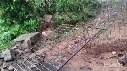 കോന്നി: കല്ലേലിയിൽ കാട്ടാന വീടിന്റെ ഗേറ്റ് തകർത്തു, കൃഷിയിടങ്ങളിലും നാശം വിതച്ചു