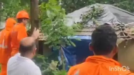 മീനച്ചിൽ: ഈരാറ്റുപേട്ട സഫാനഗറിൽ ശക്തമായ കാറ്റിൽ മരം വീണ് വീടുകൾ തകർന്നു, മൂന്നു ലക്ഷം രൂപയുടെ നഷ്ടം
