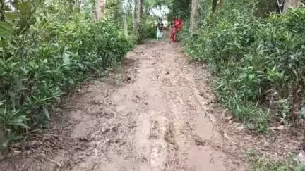 পটাশপুর ২: কানপুরে রাস্তার দাবীতে বিক্ষোভ এলাকাবাসীর, ভোট বয়কটের হুঁশিয়ারি স্থানীয়দের #jansamasya
