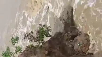 খেজুরি ২: কেদরাবাড় চরে দুর্বল নদী বাঁধ, পরিদর্শন করেন খেজুরী গ্রাম পঞ্চায়েতের প্রধান
