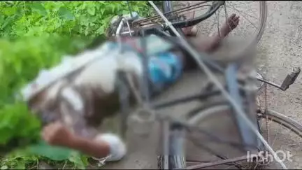 বলাগড়: বলাগড়ের জিরাটের ঢেঁড়শ তুলতে যাওয়ার সময় ছেঁড়া তারে বিদ্যুৎস্পৃষ্ট হয়ে মৃত্যু চাষির