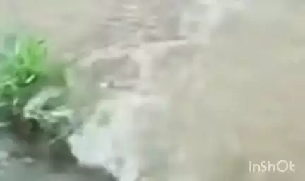 कणकवली: सिंधुदुर्ग जिल्ह्यात ओला दुष्काळ जाहीर करा; ठाकरे युवा सेनेची प्रशासनाकडे मागणी #Jansamasya