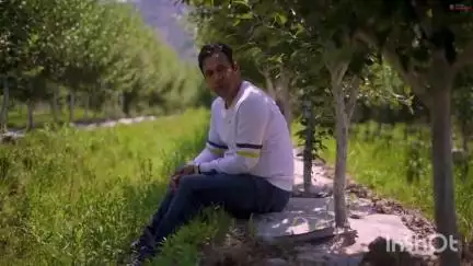 चिड़गांव: सेब के विशेषज्ञ जीतू चौहान ने बागवानों को दी सलाह, गर्मी में सेब के पौधों में पानी का रखें ध्यान