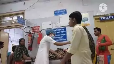ডায়মন্ডহারবার ২: নুরপুর এলাকায় মাঠে সবজি তুলতে গিয়ে সাপের খামারে গুরুতর আহত ১ গৃহবধূর