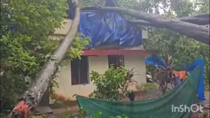 ആലുവ: കനത്ത മഴയിൽ ജില്ലയിൽ വ്യാപക നാശനഷ്ടം, കാലടിയിൽ റോഡിൽ കുടുങ്ങി കേന്ദ്ര മന്ത്രിയും, സ്കൂളുകൾക്ക് നാളെ അവധി