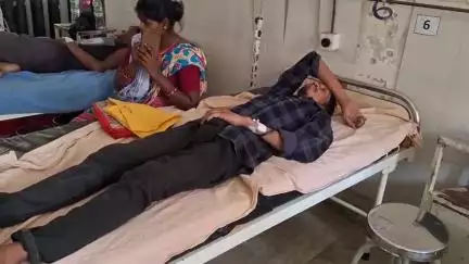बोलबा: टिनगिना पुरनाडीह गांव में शौच के लिए निकले युवक को जहरीले सांप ने काटा, इलाज के लिए सदर अस्पताल में भर्ती