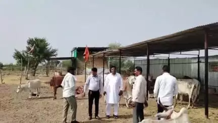 पचपहाड़: पचपहाड़ क्षेत्र की गौशालाओं का तहसीलदार व वरिष्ठ पशु चिकित्सा अधिकारी ने किया निरीक्षण
#गौमाता #गौ