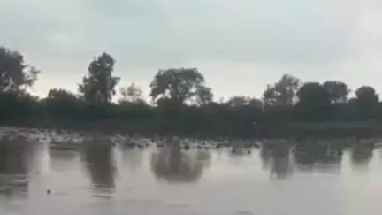 भोकरदन: कुंभारी,बरंजळा,सोयगाव दे.परिसरात जोरदार पाऊस, शेतशिवारात पाणीच पाणी, रहदारी बंद, जनजीवन विस्कळीत