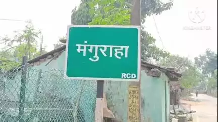 गौनहा: मंगुराहा वन क्षेत्र के भीखना ठोरी जंगल में दो बाघों की लड़ाई में एक नर बाघ की मौत