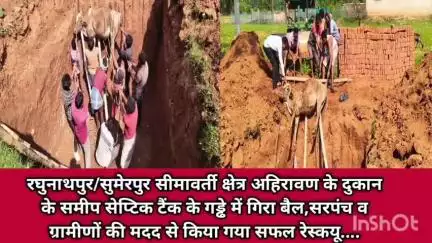 रघुनाथपुर/सुमेरपुर सरपंच व ग्रामीणों की मदद से सैप्टिक टैंक गड्ढे में गिरे बैल का किया गया सफल रेस्कयू...