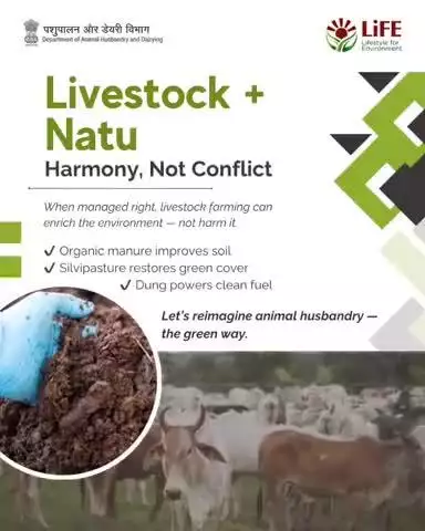 Livestock and nature can thrive together — when managed sustainably, animal husbandry enriches the environment through organic manure, silvipasture, and clean fuel from dung.
#WorldEnvironmentDay #MissionLife #EndPlasticPollution