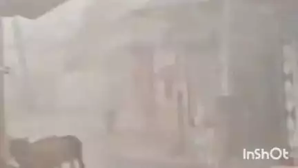 राघोगढ़: डोंगर गांव में आकाशीय बिजली गिरने से खेत में काम कर रहे किसान की हुई मौत व पत्नी झुलसी, विधायक जयवर्धन सिंह ने जताया दुख