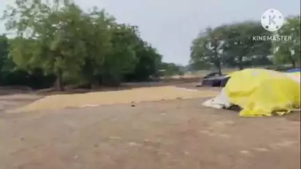 మరిపెడ: అబ్బాయిపాలెం ఐకెపి సెంటర్లో తడిసిన వేల క్వింటాల ధాన్యం,అకాల గాలివాన బీభత్సం మిగిల్చిన నష్టం