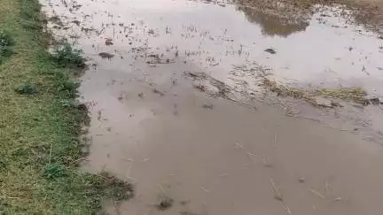आंधी तूफान के साथ-साथ ओले भी देखने को मिले मुरैना अंबाह में अचानक से बदले मौसम के मिजाज बिन बादल हुई बरसात