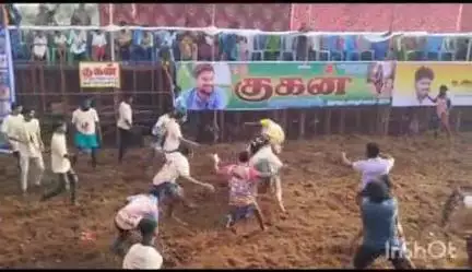 ஆலத்தூர்: கொளத்தூரில் ஜல்லிக்கட்டு போட்டி, அமைச்சர் சிவசங்கர் தொடங்கி வைத்தார்
