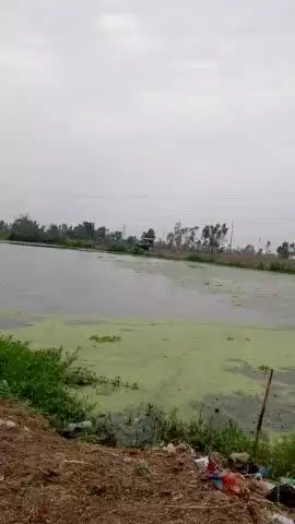 nanksgar me tablb ko patd ja raha hai or koi bi kuhh nahi kar raha hai