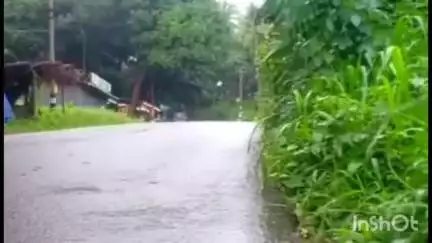 പെരിന്തല്‍മണ്ണ: മണ്ണാർ മലയിൽ വീണ്ടും പുലിയിറങ്ങിയത് നാട്ടുകാരിൽ ആശങ്ക വർദ്ധിപ്പിക്കുന്നു #localissue