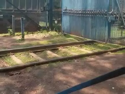 chal sahiya mahua bichhake re