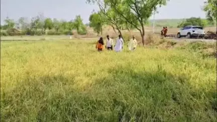 ಗುರುಮಿಟ್ಕಲ್: ತಾತಳಗೇರಾ ಗ್ರಾಮದಲ್ಲಿ ರೈತ ಬೆಳೆ ಹಾನಿಗೆ ಪರಿಹಾರ ನೀಡುವಂತೆ ರೈತರ ಒತ್ತಾಯ #localissue