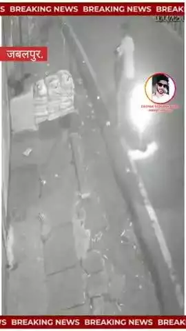 जबलपुर में अब नमक चोरी दुकान के बाहर रखी बोरियां 125KG नमक, एक्टिवा सवार ले गया; CCTV वीडियो आया सामने  #Jabalpur #crime