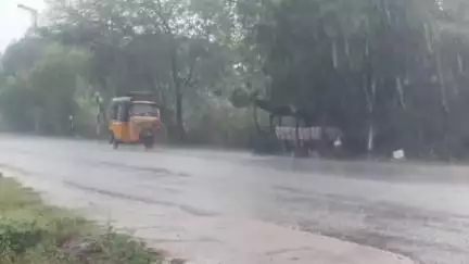 காளையார்கோவில்: திடீர் மழை – அல்லூர் அருகே ஆலமரம் சாய்ந்து போக்குவரத்து, மின்சாரம் பாதிப்பு