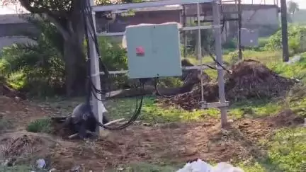 पूर्वी टुंडी: हरलाटाॅंड़ गांव में बिजली के करंट की चपेट में आने से एक मवेशी की हुई मौत