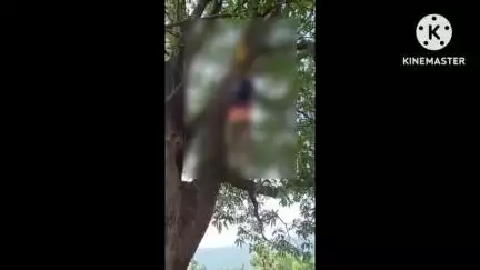 करतला: सजापानी गांव में युवक ने फांसी लगाकर की आत्महत्या, पेड़ पर लटकती मिली लाश