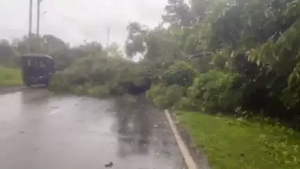 সৃজনগ্ৰাম: অভয়াপুৰীত ধুমুহাৰ তাণ্ডৱ,বঙাইগাঁও - অভয়াপুৰী পথৰ উপৰত বাগৰিল গছ আৰু চিঙি পৰে বিদ্যুতৰ তাঁৰ