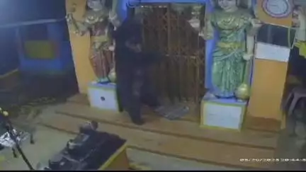 குன்னூர்: திறங்கப்பா, சாமி பாத்துட்டுப் போனும்
குன்னூர் காட்டேரிமாரியம்மன் கோவிலில் நின்ற கரடியால் பரபரப்பு