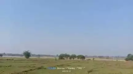 तोलरा विष्णु मंदिर में वार्षिक उत्सव धूमधाम से मनाया गया हर वर्ष की भांति इस वर्ष भी मानस मंडली गढ़वा के द्वारा सुंदर का