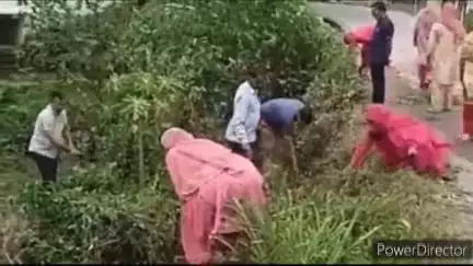 गलोड़: सनेड गांव में ग्रामीणों ने मिलकर चलाया नशा निवारण अभियान, सैकड़ों भांग के पौधे उखाड़े
