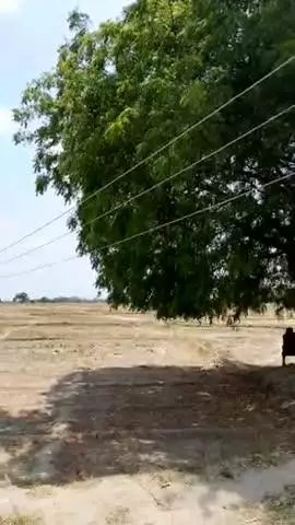 तार गांव में बिजली का तार बहुत डैमेज है कभी भी दुर्घटना हो सकता है