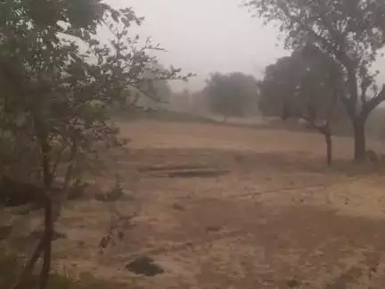 निवाड़ी के जिले पृथ्वीपुर पाराखेरा  खास में भरी आंधी तूफान किलोमीटर की रफ्तार में चल रही है