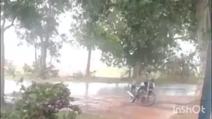 రుద్రవరం మండలంలో కుండపోత వర్షం