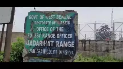 মাদারিহাট: হাতির হানায় গুরুতর  জখম হলেন এক ব্যক্তি ঘটনাটি ঘটেছে মাদারিহাট ব্লকের মধ্য ছাঁকামারি     এলাকায়