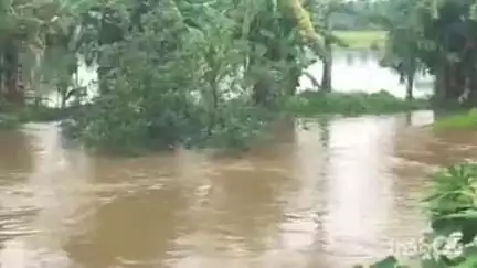 തിരുവല്ല: വെള്ളം കയറിയതിനാൽ പെരിങ്ങര, നെടുമ്പ്രം കൃഷി ഓഫീസുകളുടെ പ്രവർത്തനം മാറ്റി